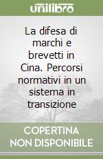 La difesa di marchi e brevetti in Cina. Percorsi normativi in un sistema in transizione libro