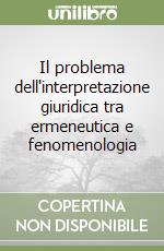 Il problema dell'interpretazione giuridica tra ermeneutica e fenomenologia libro