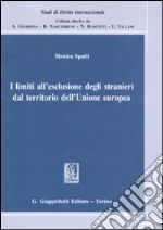 I limiti all'esclusione degli stranieri dal territorio dell'Unione europea