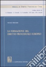 La formazione del diritto processuale europeo. Studi