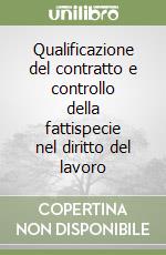 Qualificazione del contratto e controllo della fattispecie nel diritto del lavoro libro