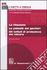 Il diritto di famiglia nella dottrina e nella giurisprudenza. Trattato teorico-pratico. Vol. 4: La filiazione. La potestà dei genitori. Gli istituti di protezione del minore libro