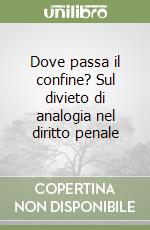 Dove passa il confine? Sul divieto di analogia nel diritto penale libro