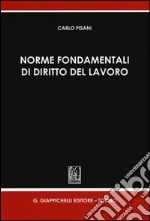 Norme fondamentali di diritto del lavoro libro