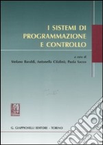 i sistemi di programmazione e controllo 