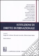 Istituzioni di diritto internazionale libro