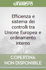 Efficienza e sistema dei controlli tra Unione Europea e ordinamento interno