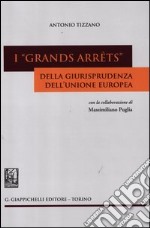 I «grands arrêts» della giurisprudenza dell'Unione europea libro