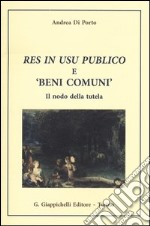 Res in usu publico e «beni comuni». Il nodo della tutela