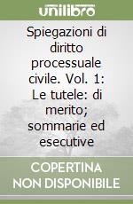 Spiegazioni di diritto processuale civile. Vol. 1: Le tutele: di merito; sommarie ed esecutive