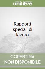 Rapporti speciali di lavoro libro