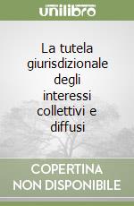 La tutela giurisdizionale degli interessi collettivi e diffusi libro