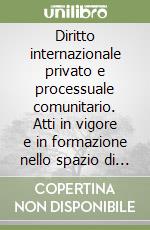 Diritto internazionale privato e processuale comunitario. Atti in vigore e in formazione nello spazio di libertà, sicurezza e giustizia libro