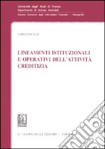 Lineamenti istituzionali dell'attività creditizia