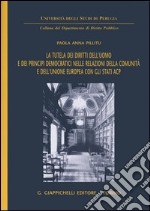 La tutela dei diritti dell'uomo e dei principi democratici nelle relazioni della comunità e dell'unione europea con gli Stati ACP