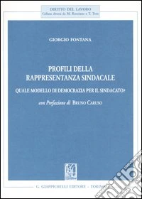 Profili della rappresentanza sindacale. Quale modello di democrazia per il sindacato? libro