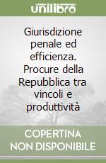 Giurisdizione penale ed efficienza. Procure della Repubblica tra vincoli e produttività