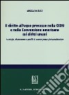 Il diritto all'equo processo nella CEDU e nella convenzione americana sui diritti umani. Analogie, dissonanze e profili di convergenza giurisprudenziale libro di Di Stasi Angela