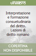 Interpretazione e formazione consuetudinaria del diritto. Lezioni di diritto romano libro