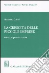 La crescita delle piccole imprese. Fusioni, acquisizioni, accordi libro