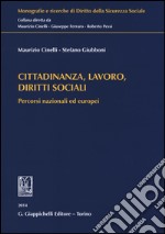 Cittadinanza, lavoro, diritti sociali. Percorsi nazionali ed europei