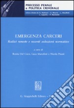 Emegenza carceri. Radici remote e recenti soluzioni normative. Atti del Convegno (Teramo, 6 marzo 2014) libro