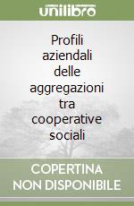 Profili aziendali delle aggregazioni tra cooperative sociali libro
