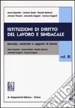 Istituzioni di diritto del lavoro e sindacale (3) libro