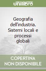 Geografia dell'industria. Sistemi locali e processi globali libro