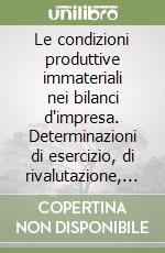 Le condizioni produttive immateriali nei bilanci d'impresa. Determinazioni di esercizio, di rivalutazione, di capitale economico