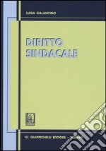 Diritto sindacale. Aggiornato al 30 giugno 2005 libro