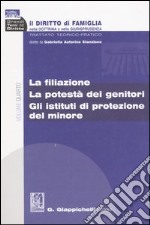 Il diritto di famiglia nella dottrina e nella giurisprudenza. Trattato teorico-pratico (4) libro