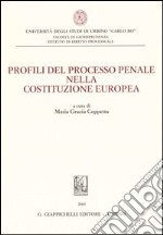 Profili del processo penale nella Costituzione europea