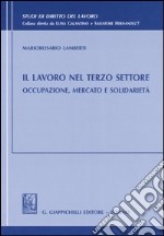 Il lavoro nel terzo settore. Occupazione, mercato e solidarietà libro