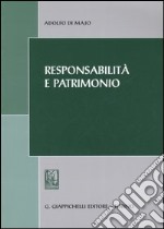 Responsabilità e patrimonio libro