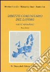 Diritto comunitario del lavoro. Casi e materiali (1999-2005). Con CD-ROM libro