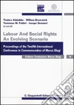 Labour and social rights. An evolving scenario proceedings of the twelfth international conference in commemoration of Marco Biagi libro