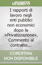 I rapporti di lavoro negli enti pubblici non economici dopo la «Privatizzazione». Commento al contratto collettivo nazionale di lavoro del 6 luglio 1995 libro