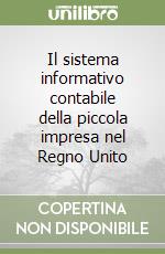 Il sistema informativo contabile della piccola impresa nel Regno Unito libro