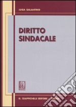 Diritto sindacale. Aggiornato al 30 giugno 2006 libro