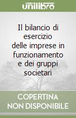 Il bilancio di esercizio delle imprese in funzionamento e dei gruppi societari libro