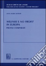 Welfare e no profit in Europa. Profili comparati libro