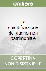 La quantificazione del danno non patrimoniale