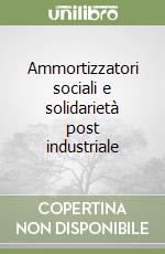 Ammortizzatori sociali e solidarietà post industriale libro