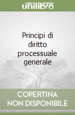 Principi di diritto processuale generale libro