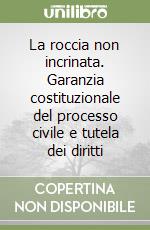 La roccia non incrinata. Garanzia costituzionale del processo civile e tutela dei diritti libro