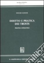 Diritto e pratica dei trust. Profili civilistici. Con CD-ROM