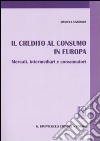 Il credito al consumo in Europa. Mercati, intermediari e consumatori libro di Vandone Daniela