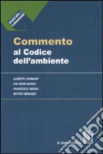 Commento al Codice dell'ambiente libro