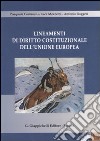 Lineamenti di diritto costituzionale dell'Unione Europea. Con CD-ROM libro